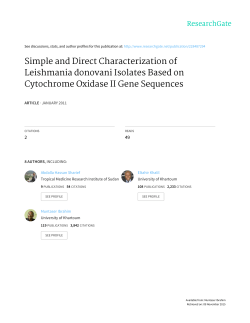 Simple and Direct Characterization of Leishmania