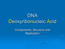 DNA Deoxyribonucleic Acid - Lake Ridge Science Lamkin