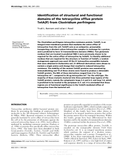 Identification of structural and functional domains of the tetracycline