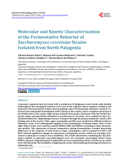 Molecular and Kinetic Characterization of the Fermentative Behavior