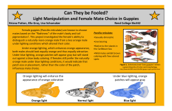 poster - Reed College