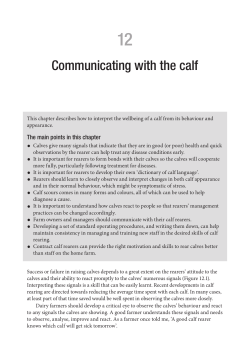 Communicating with the calf