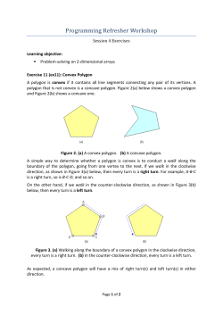 Convex Polygon - NUS Computing