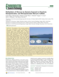 Methylation of Mercury by Bacteria Exposed to Dissolved
