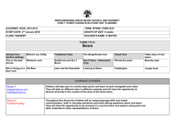 nursery medium term planning bears spring 2016