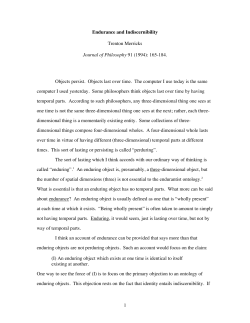 Endurance and Indiscernibility