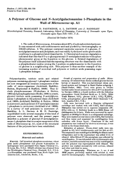 A Polymer of Glucose and N-Acetylgalactosamine 1