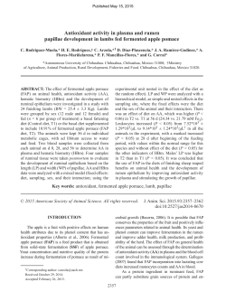 Antioxidant activity in plasma and rumen papillae development in