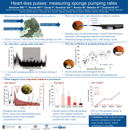 Strehlow BW , Pineda MC , Clode P , Kendrick GA