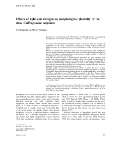 Effects of light and nitrogen on morphological plasticity of the moss