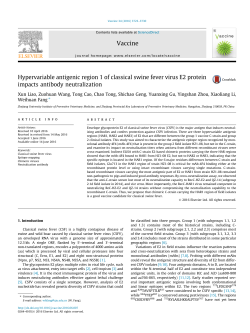 Hypervariable antigenic region 1 of classical swine fever virus E2