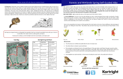 Forests and Wetlands Spring Self