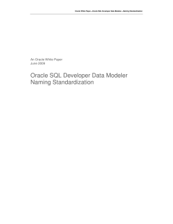 Oracle SQL Developer Data Modeler Naming Standardization