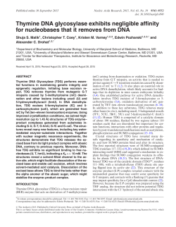 Thymine DNA glycosylase exhibits negligible affinity for