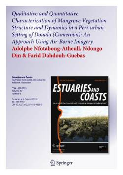 Qualitative and Quantitative Characterization of Mangrove