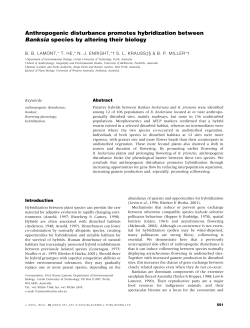 Anthropogenic disturbance promotes hybridization between Banksia