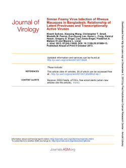 Active Viruses Latent Proviruses and Transcriptionally Macaques in