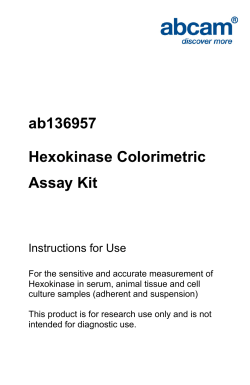 ab136957 Hexokinase Colorimetric Assay Kit