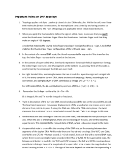 Discussion Points on `DNA Topolo