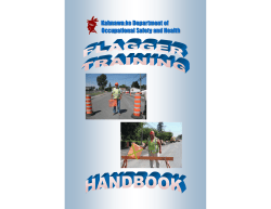 Flagger Training