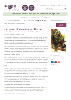 The basics of arranging cut flowers