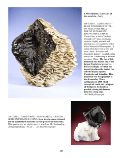 Cassiterite - Proctor Family Trust Collection Index