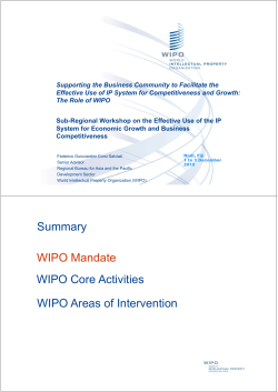 Summary WIPO Mandate WIPO Core Activities WIPO Areas of