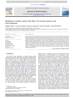 Modeling of cardiac muscle thin films Pre