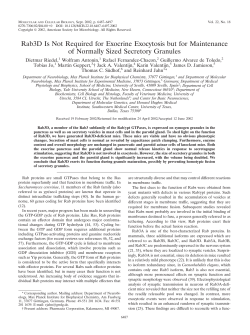 Rab3D Is Not Required for Exocrine Exocytosis but for