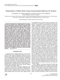 Reactivation of Motor Brain Areas during Explicit Memory for Actions