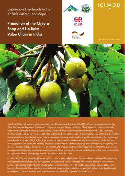 Promotion of the Chyura Soap and Lip Balm Value Chain in India