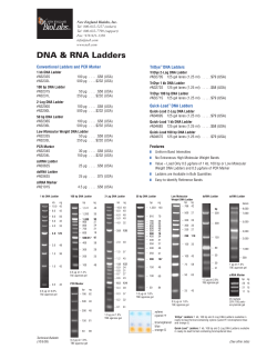 2-Log DNA Ladder N3200