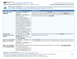 Blue Preferred Gold PPOSM 104 - Blue Cross and Blue Shield of