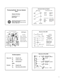 Parasympathetic Nervous System Part I Cholinoceptors