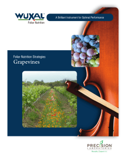 Foliar Nutrition Strategies [Grapevines]