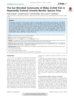 The gut microbial community of Midas Cichlid fish