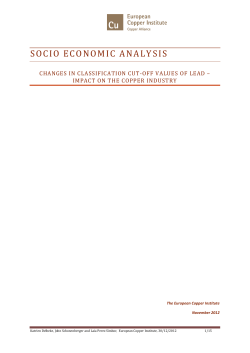 socio economic analysis - European Copper Institute