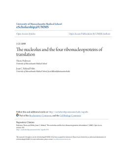 The nucleolus and the four ribonucleoproteins of translation