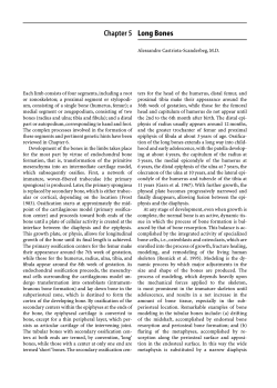 Long Bones Chapter 5
