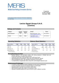 Lecico Egypt Group S
