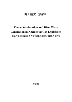 Flame Acceleration and Blast Wave Generation in Accidental Gas
