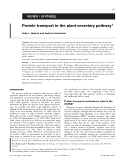 Protein transport in the plant secretory pathway1