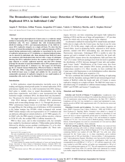 The Bromodeoxyuridine Comet Assay: Detection