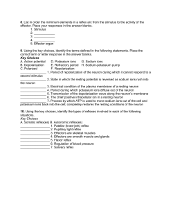 8. List in order the minimum elements in a reflex arc from the