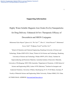 Highly Water-Soluble Magnetic Iron Oxide (Fe3O4) Nanoparticles