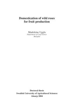 Domestication of wild roses for fruit production.Doctoral Thesis