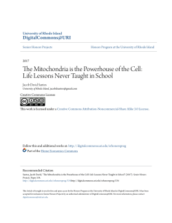 The Mitochondria is the Powerhouse of the Cell: Life Lessons Never