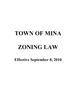 TOWN OF MINA ZONING LAW