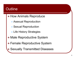 Chapter 41 Lecture Slides - Snake Evolution and Biogeography