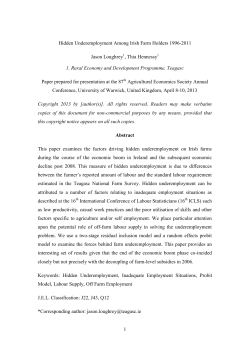 Hidden Underemployment Among Irish Farm